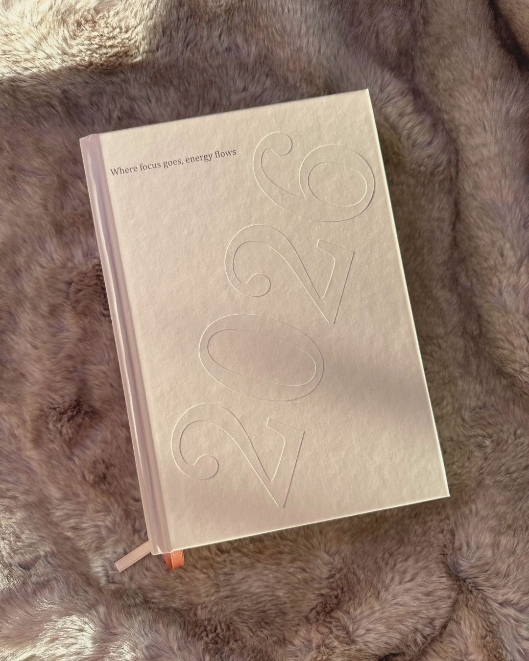 Planer 2026 - wejdź na wyższy poziom